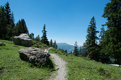 unterwegs auf der Alp Scharmoin (© Buelipix)