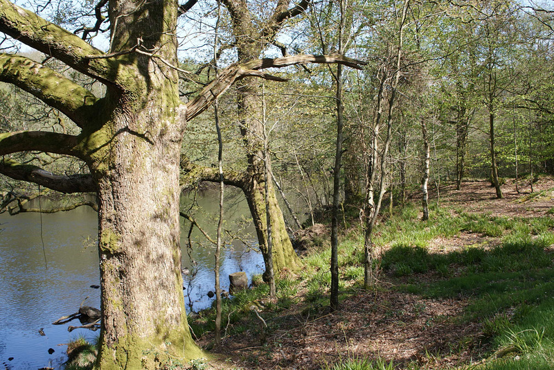 River Dee