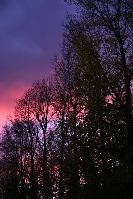 Himmel 36/50 - wenn der Tag geht