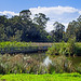 The Water Gardens