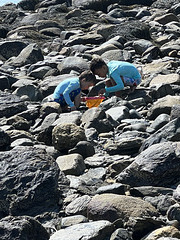 treasures from the sea