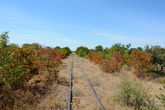 Zambian Segment of Cairo - Cape Town Railroad (an unfinished project)