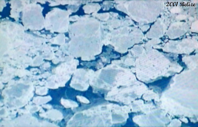 06 Newfoundland Sea Ice Flows