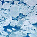 06 Newfoundland Sea Ice Flows