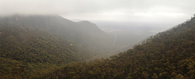 view from road to Mt William lookout