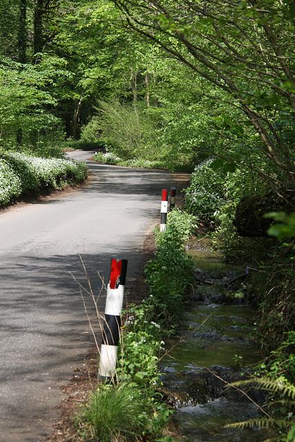 Country road