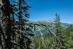 unterwegs auf der Alp Scharmoin (© Buelipix)