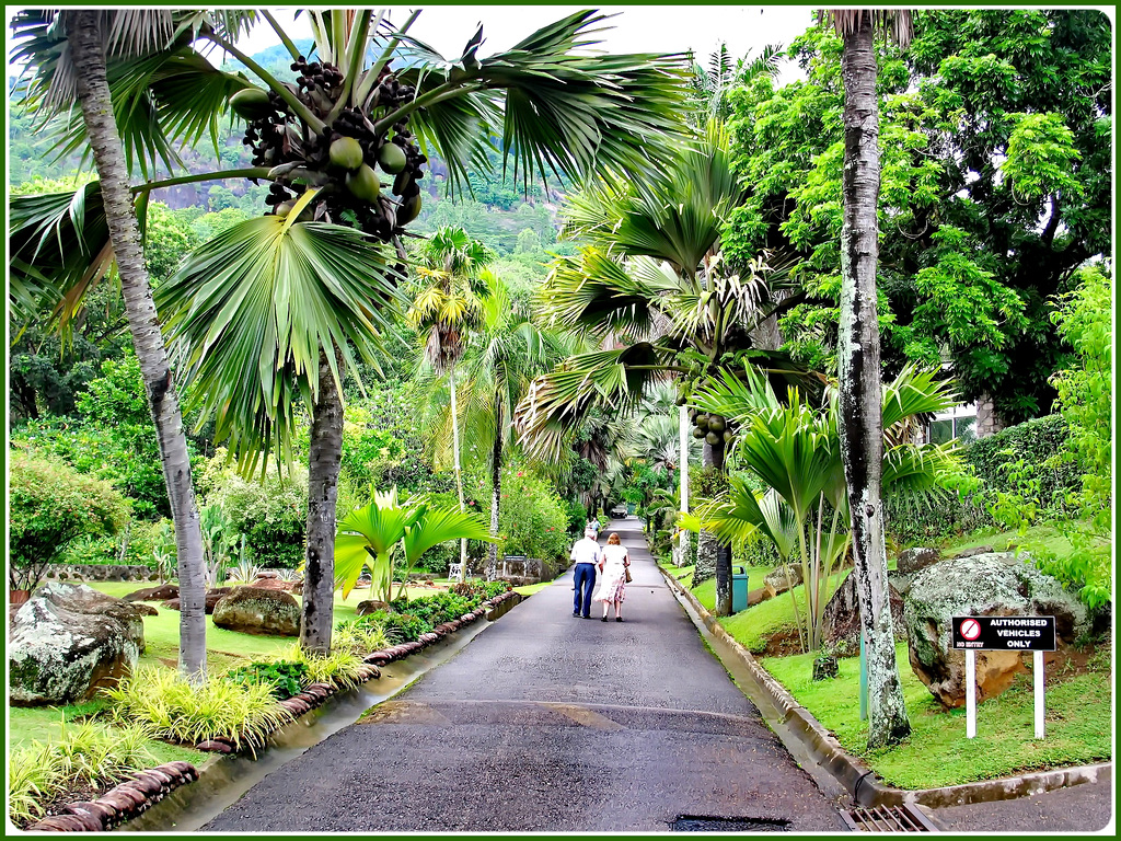 MAHE' : ingresso al 'Botanical Garden' di Victoria