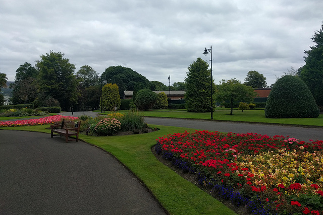 Flowers In Levengrove Park