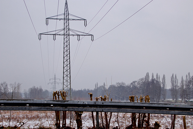 Alles Grünzeug muss weg unter der Hochspannungsleitung