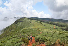 Pico Ruivo do Paúl da Serra - Der Abstieg (1)