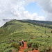 Pico Ruivo do Paúl da Serra - Der Abstieg (1)