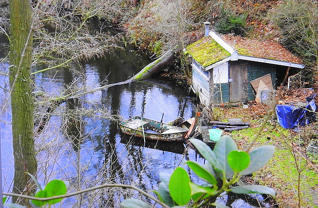 Domestic  fisher