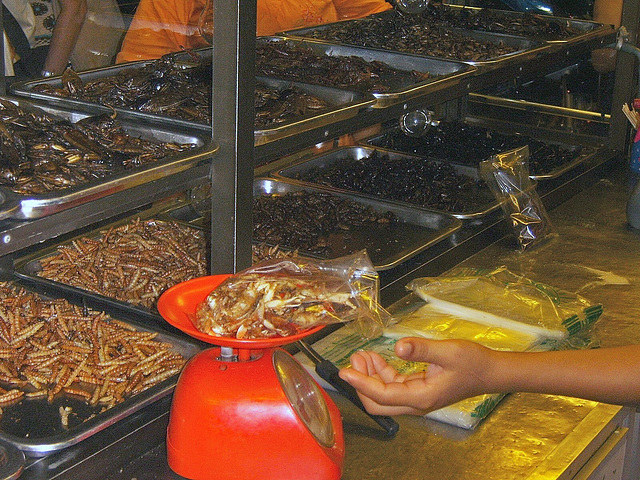 Phitsanulok- Grasshoppers and Other Delicacies