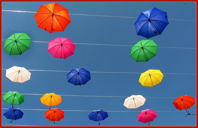 un cielo di ombrelli