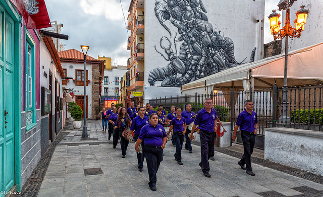 Fiestas Virgen del Carmen