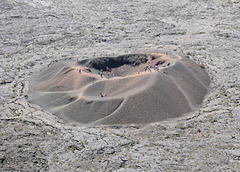 Sainte-Rose. (974, ile de la Réunion). 2 novembre 2024. Site du Piton de la Fournaise . Le "Formica Leo".