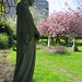 margravine hammersmith cemetery, london