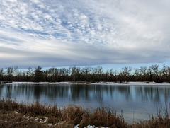 Yesterday's walk along the Bow River