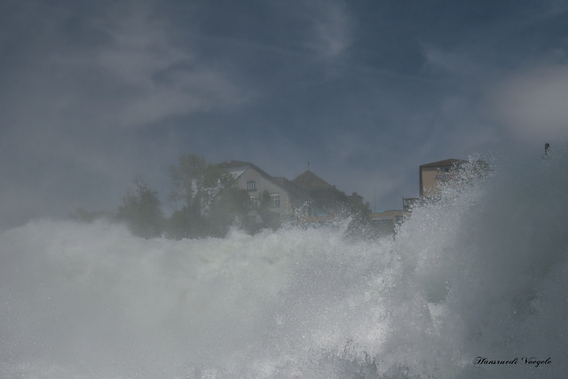 Am Rheinfall 8.07.2016