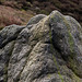 A sandstone rock close up