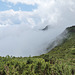 Pico Ruivo do Paúl da Serra - Ausblick auf dem Weg nach unten