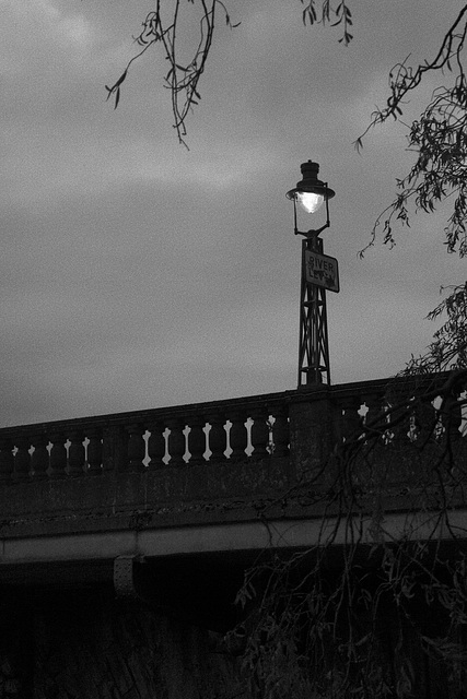 Light on Dumbarton Bridge