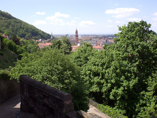 Blick über Heidelberg