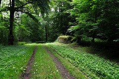 Aremberg in der Eifel