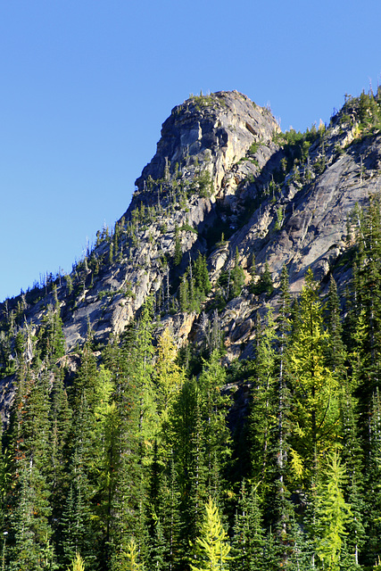 Liberty Bell and Larches