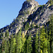 Liberty Bell and Larches