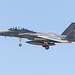 173rd Fighter Wing McDonnell Douglas F-15D Eagle 85-0133