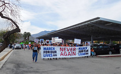 Palm Springs Gun Violence March (#0912)