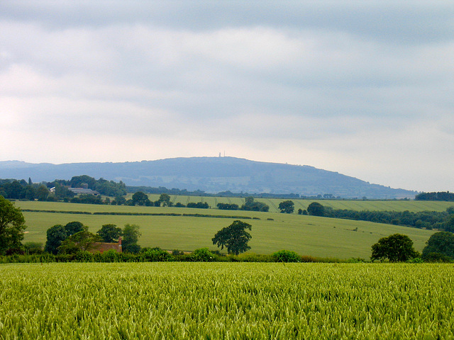 Looking towards the Clee Hills from the Meadowley Trig Point (221m)