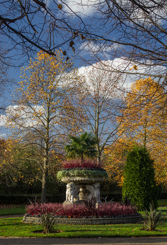 Nov 4: Regent's Park (2)