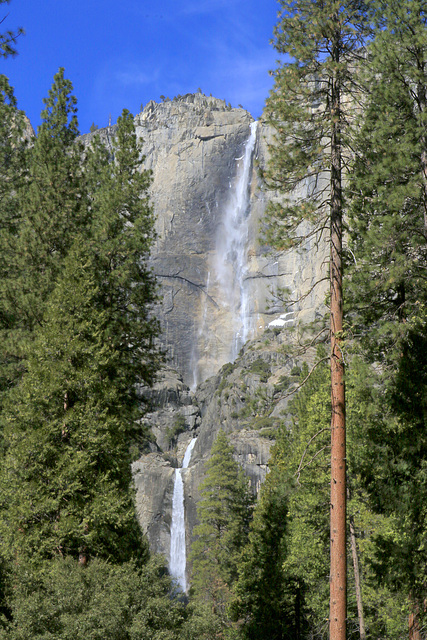 Yosemite Falls