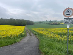 Walk 22.04.2025 No08