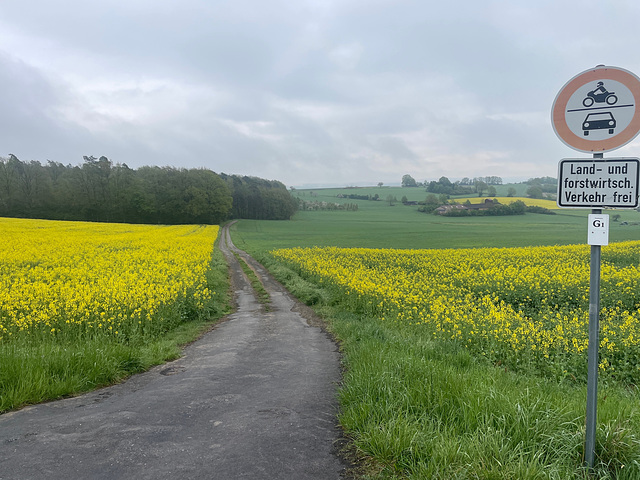 Walk 22.04.2025 No08