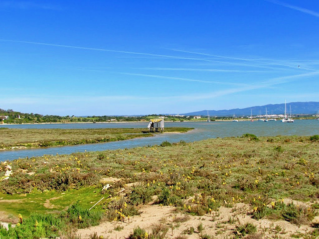 Old shack, Alvor estuary, How long will it last? (2013)