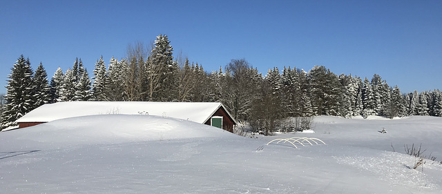 snowed in farm buildings