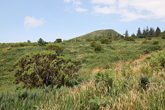 Pico Ruivo do Paúl da Serra - Ein letzter Blick zum Pico...