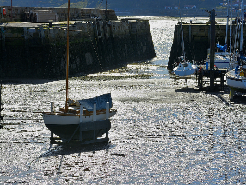 Leona waiting for the flood tide