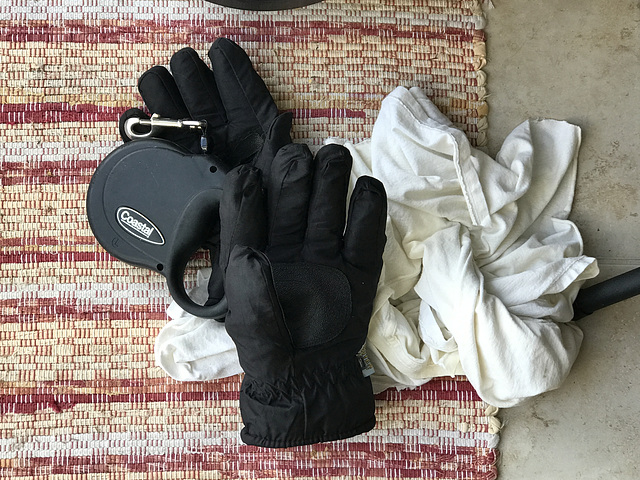 still life with gloves and retractable dog leash