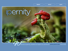 ipernity homepage with #1634