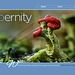 ipernity homepage with #1634