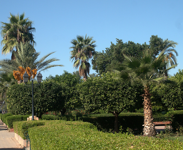 Marrakesch