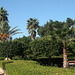 Marrakesch