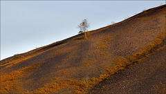 Sur la pente de l'automne