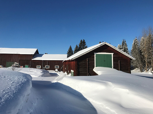 snowed in farm buildings