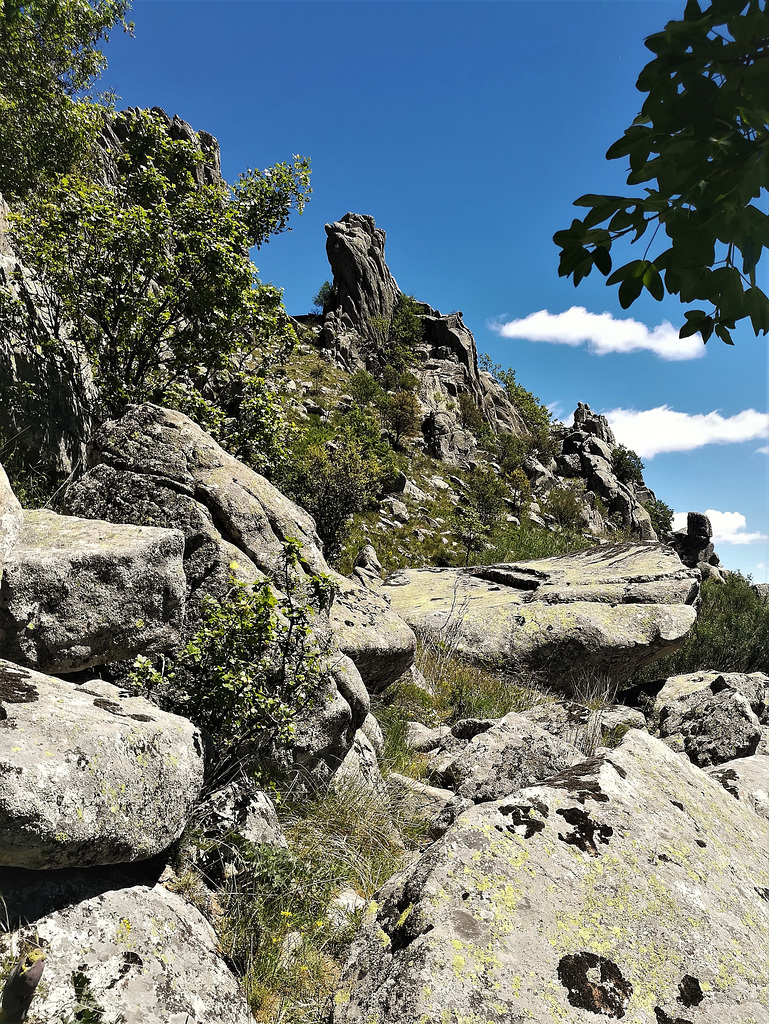 I could hear the mountain goats from here for the first time, but couldn't see them until later. But I could  see them on this shot later that night! Can you see them?